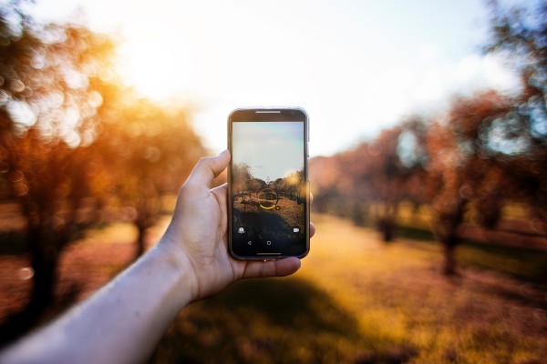 Why No One should Dim a Phone Screen ?