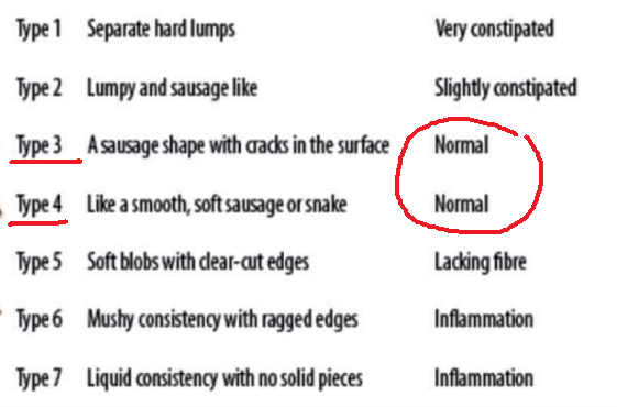 What does different poop color indicate ?