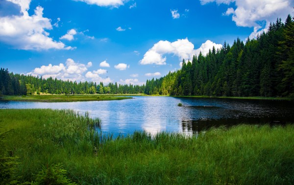 What is Eutrophication of lakes ?