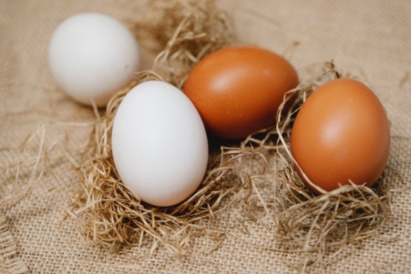 What is the difference between brown eggs and white eggs ?